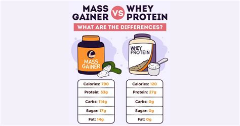 mass gainer vs whey protein|best mass gainer whey protein.